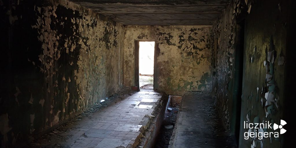 Fot. Tomasz Róg