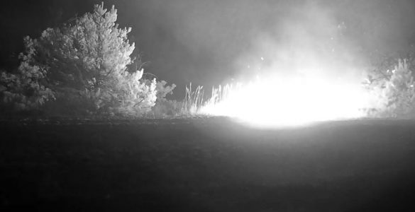 Fot. Чорнобильський Радіаційно-екологічний Біосферний Заповідник