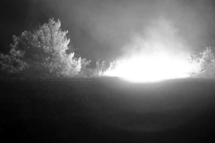 Fot. Чорнобильський Радіаційно-екологічний Біосферний Заповідник