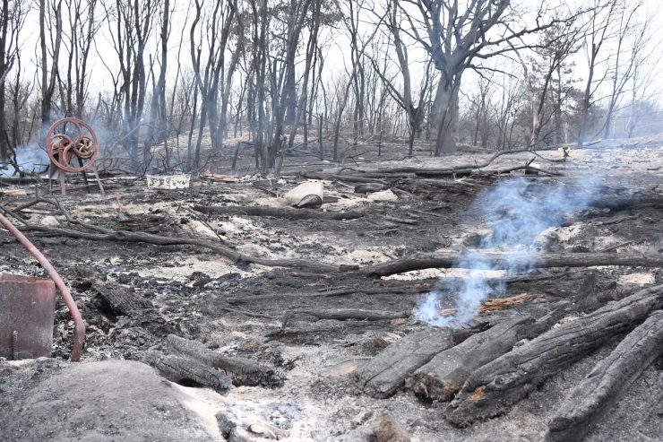 Fot. Siergiej Gaszczak / facebook.com/gaschak