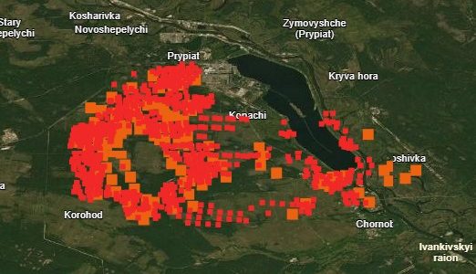 Fot. archiwum Ilji Korotenki (zdjęcie nr 1)