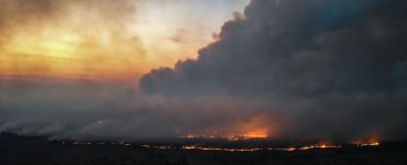 Fot. Aleksander Sirtoa - facebook.com/dazv.gov.ua / CC BY 4.0