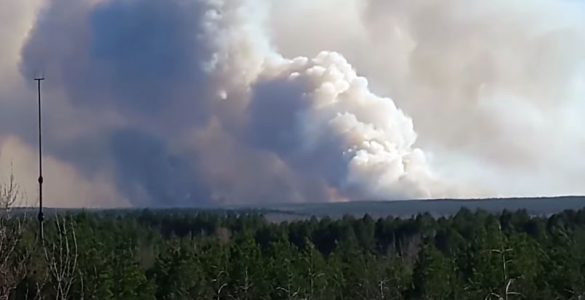 Fot. YouTube / Полесский