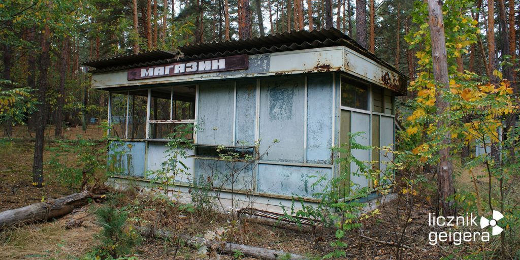 Fot. Tomasz Róg