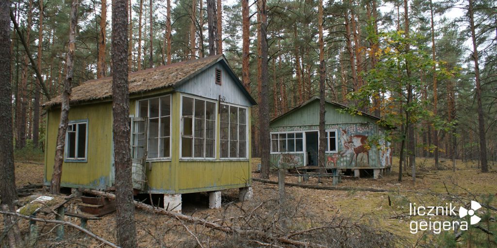 Fot. Tomasz Róg