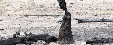 Fot. Siergiej Gaszczak / facebook.com/gaschak