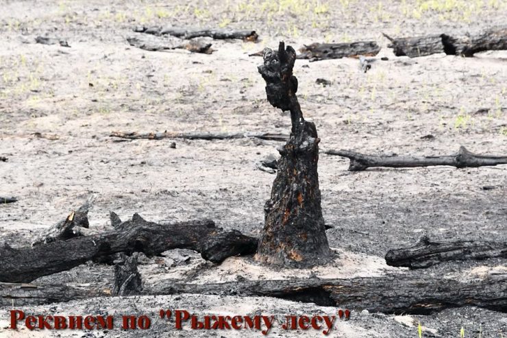 Fot. Siergiej Gaszczak / facebook.com/gaschak