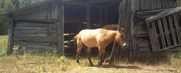 Fot. Siergiej Gaszczak / facebook.com/gaschak