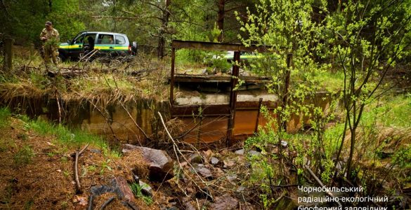 Fot. Денис Вишневский / Чорнобильський Радіаційно-екологічний Біосферний Заповідник