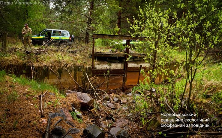 Fot. Денис Вишневский / Чорнобильський Радіаційно-екологічний Біосферний Заповідник