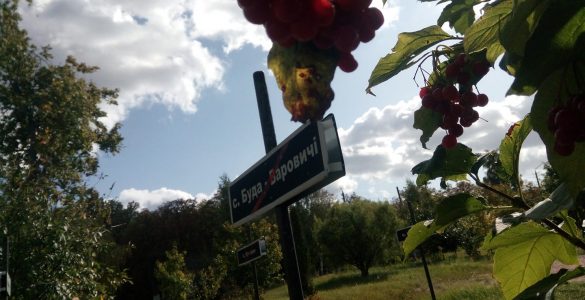 Fot. cotiz.org.ua / CC BY 4.0