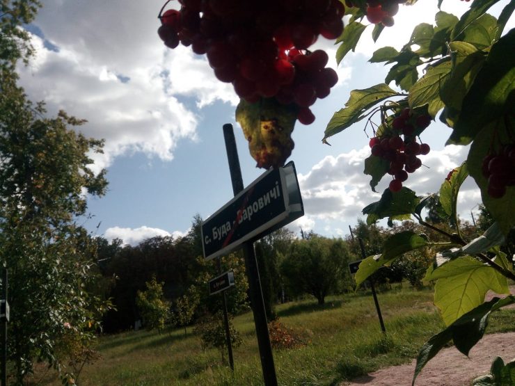 Fot. cotiz.org.ua / CC BY 4.0