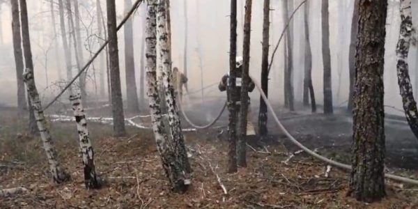 Fot. dazv.gov.ua / CC BY 4.0