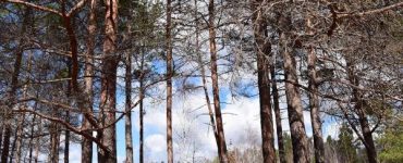 Fot. dazv.gov.ua / CC BY 4.0