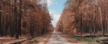 Fot. Chernobyl Zone - Radioactive Team