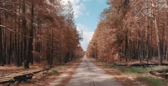 Fot. Chernobyl Zone - Radioactive Team