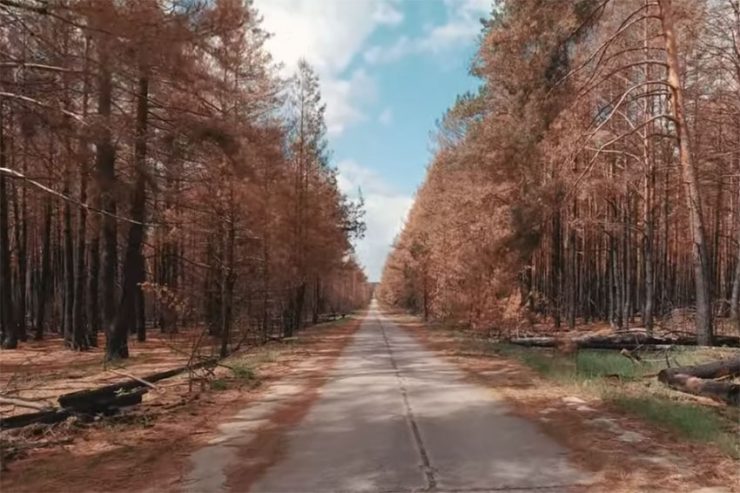 Fot. Chernobyl Zone - Radioactive Team