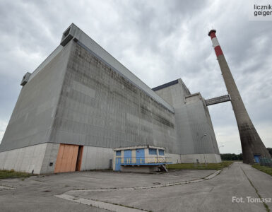 Instalacja artystyczna "Prosto w serce". Fot. Tomasz Róg / Licznik Geigera